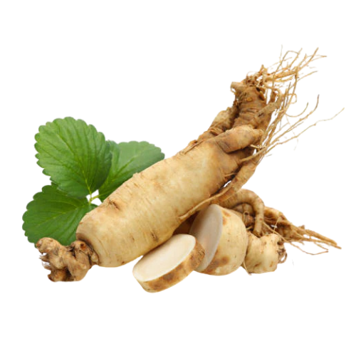 Ginseng